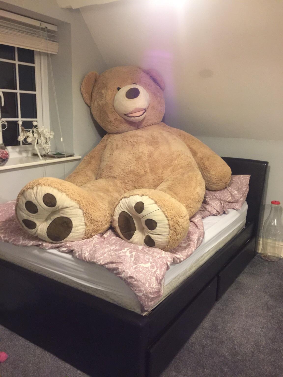 giant costco teddy bear