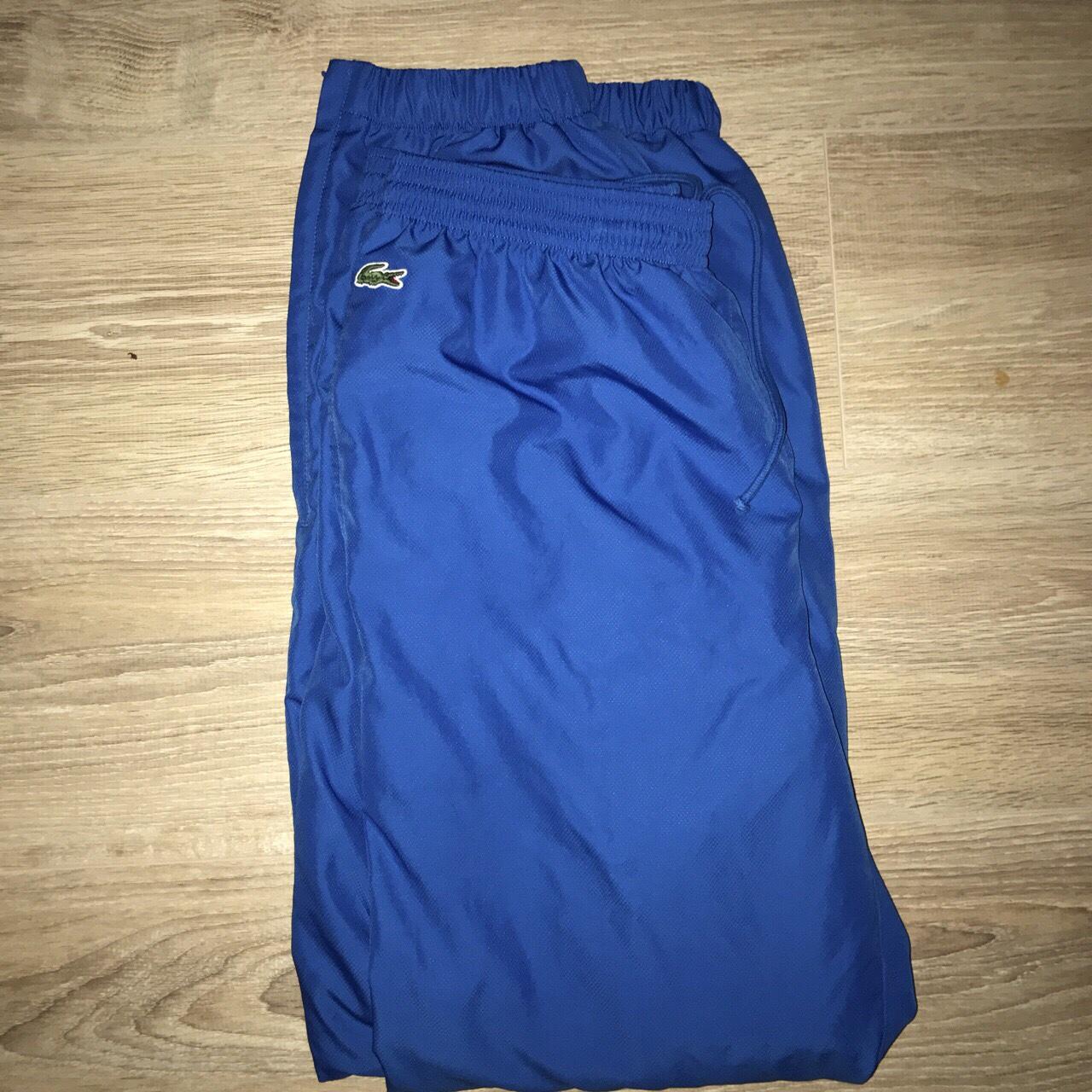 lacoste guppy joggers
