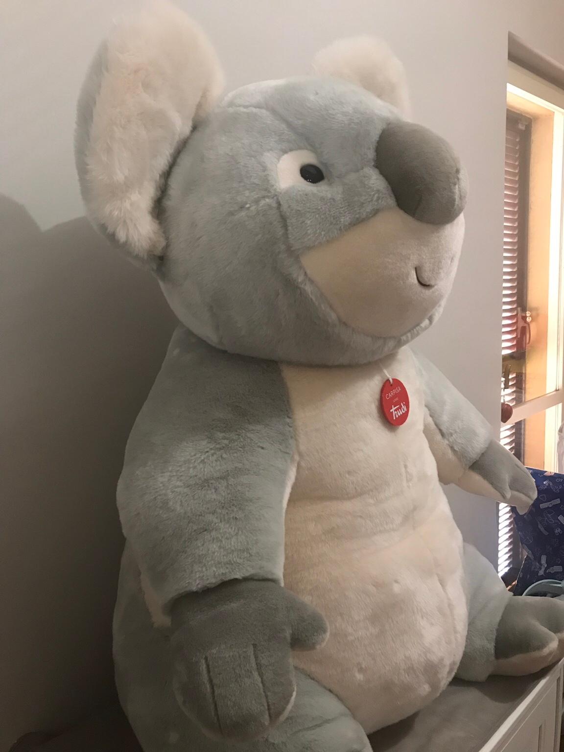 trudi koala gigante