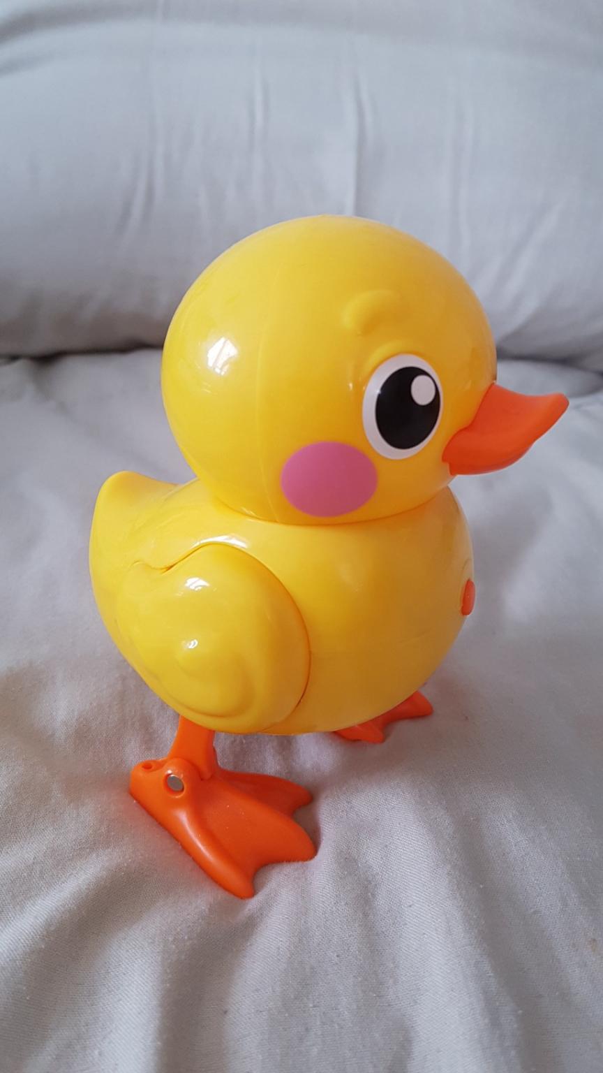 robo alive duck