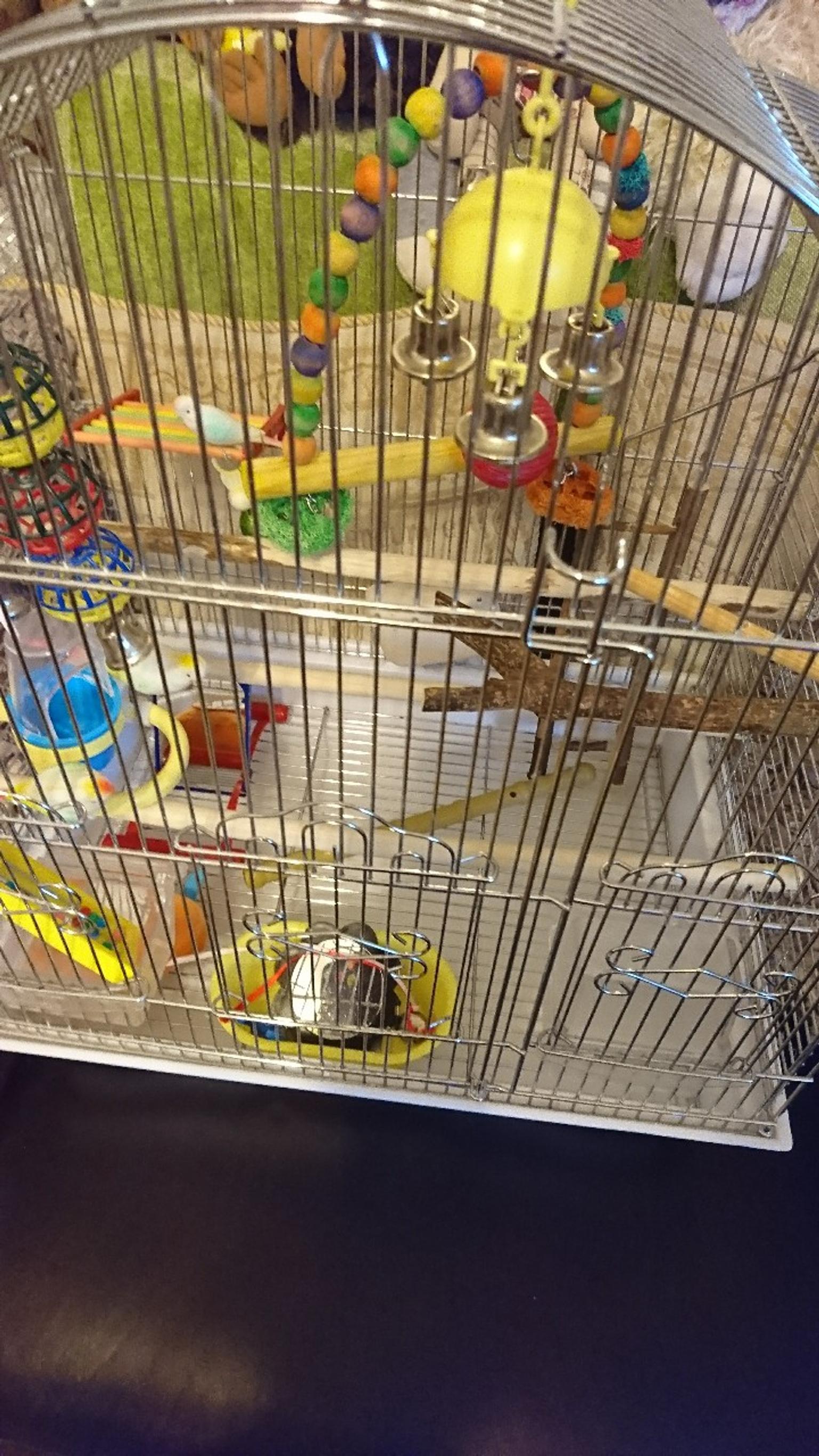 budgie cage accessories