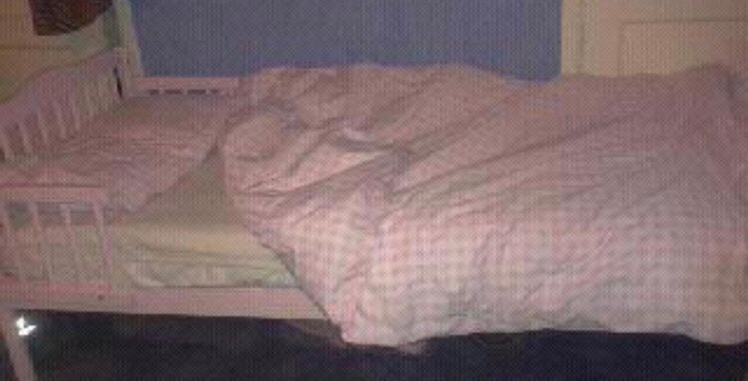 Pink Toddler Bed With Mattress In Bs11 Bristol Fur 75 00 Zum