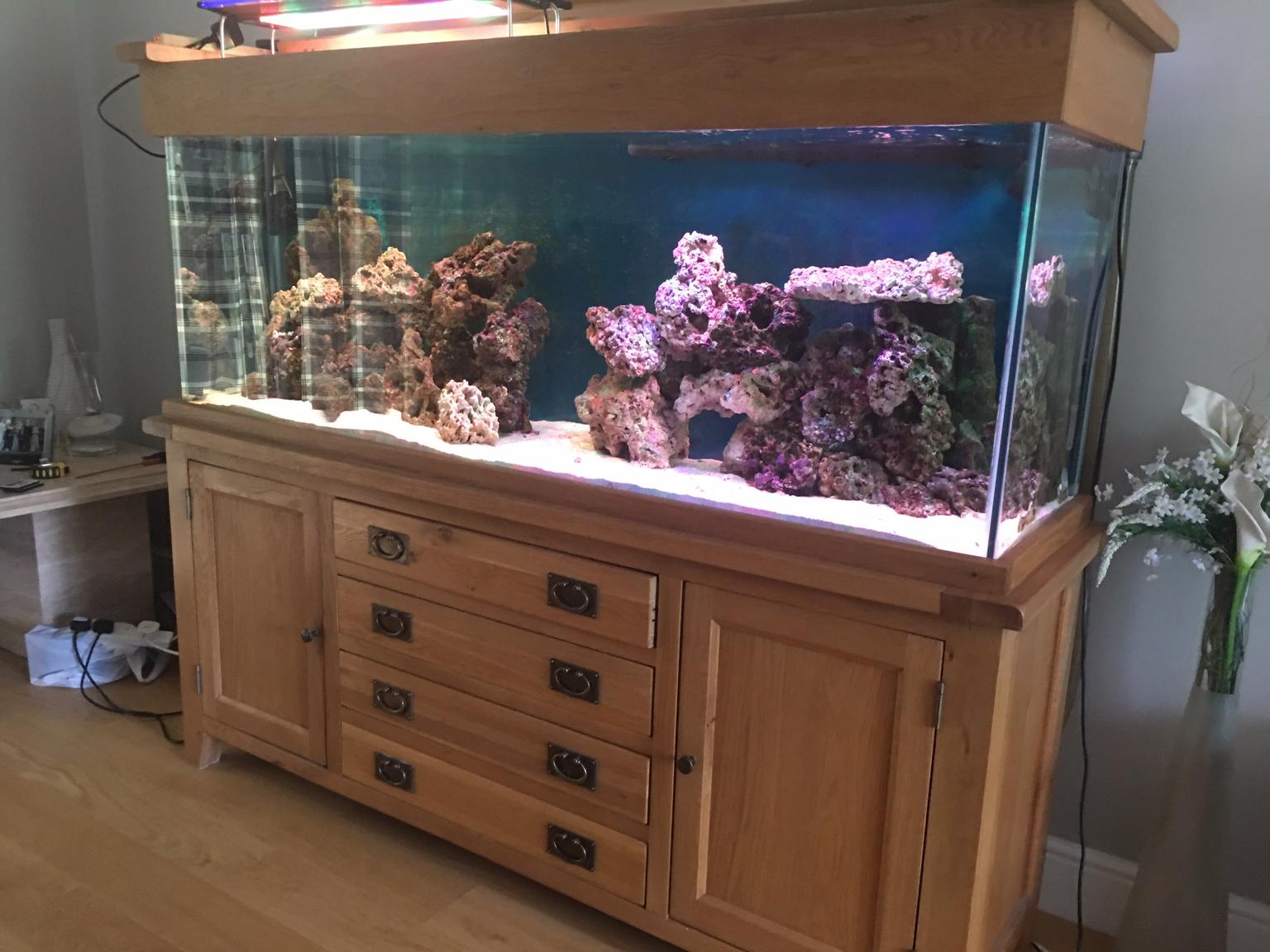 6ft Aqua Oak Fish Tank In Waterston Fur 650 00 Zum Verkauf