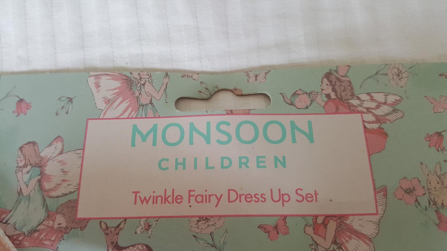 monsoon fairy dress up
