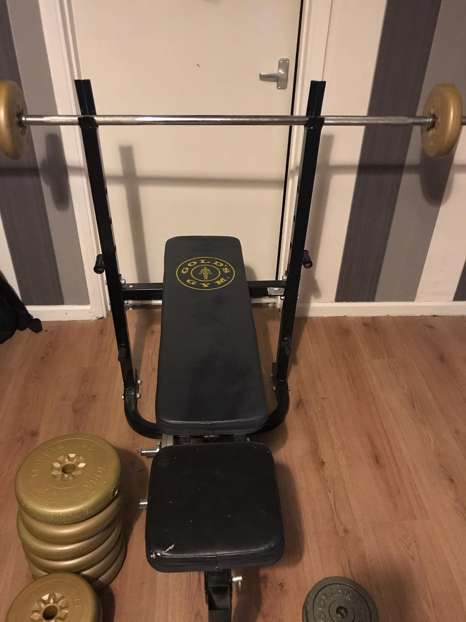 Weight Bench Gold Gym Weights Lifting Barbell Exercise Plates New