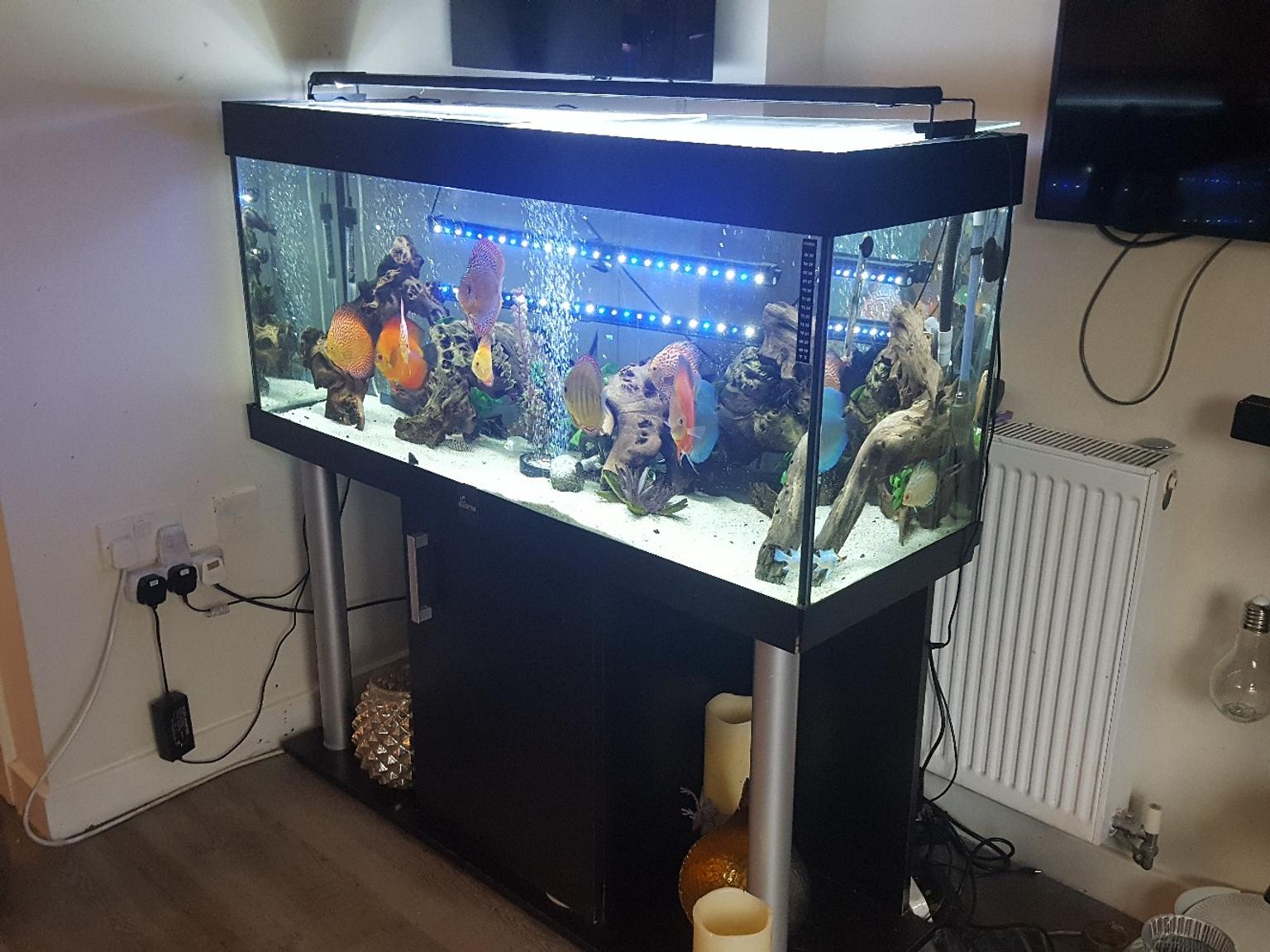 Fluval 240 Litre Aquarium And Black Cabinet In Kt19 Ewell Fur 199