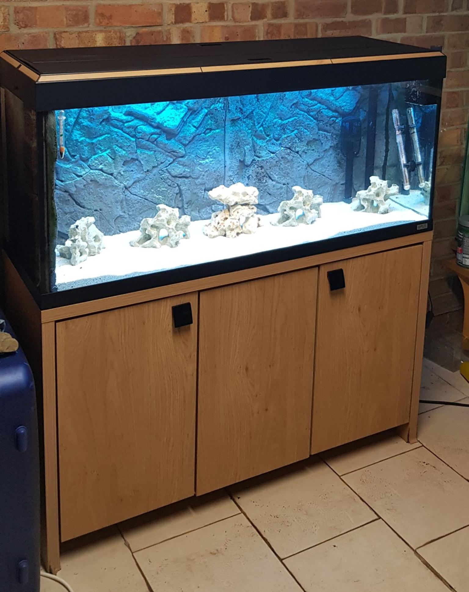 Fx6 Filter With Fluval Roma 240 Fish Tank In Sw17 London Borough