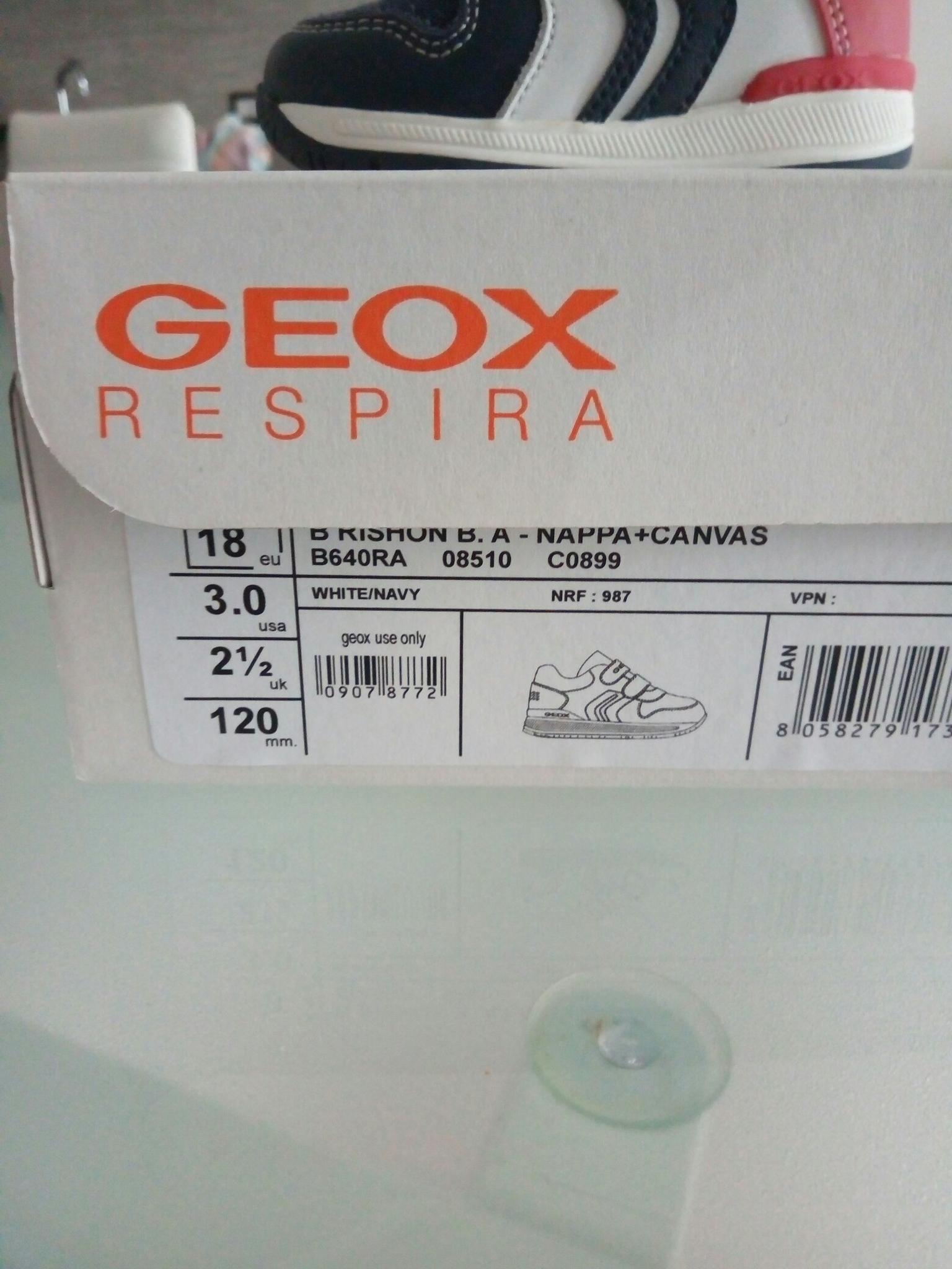 Scarpine geox in 86090 Castelpetroso für € 25,00 zum Verkauf | Shpock AT