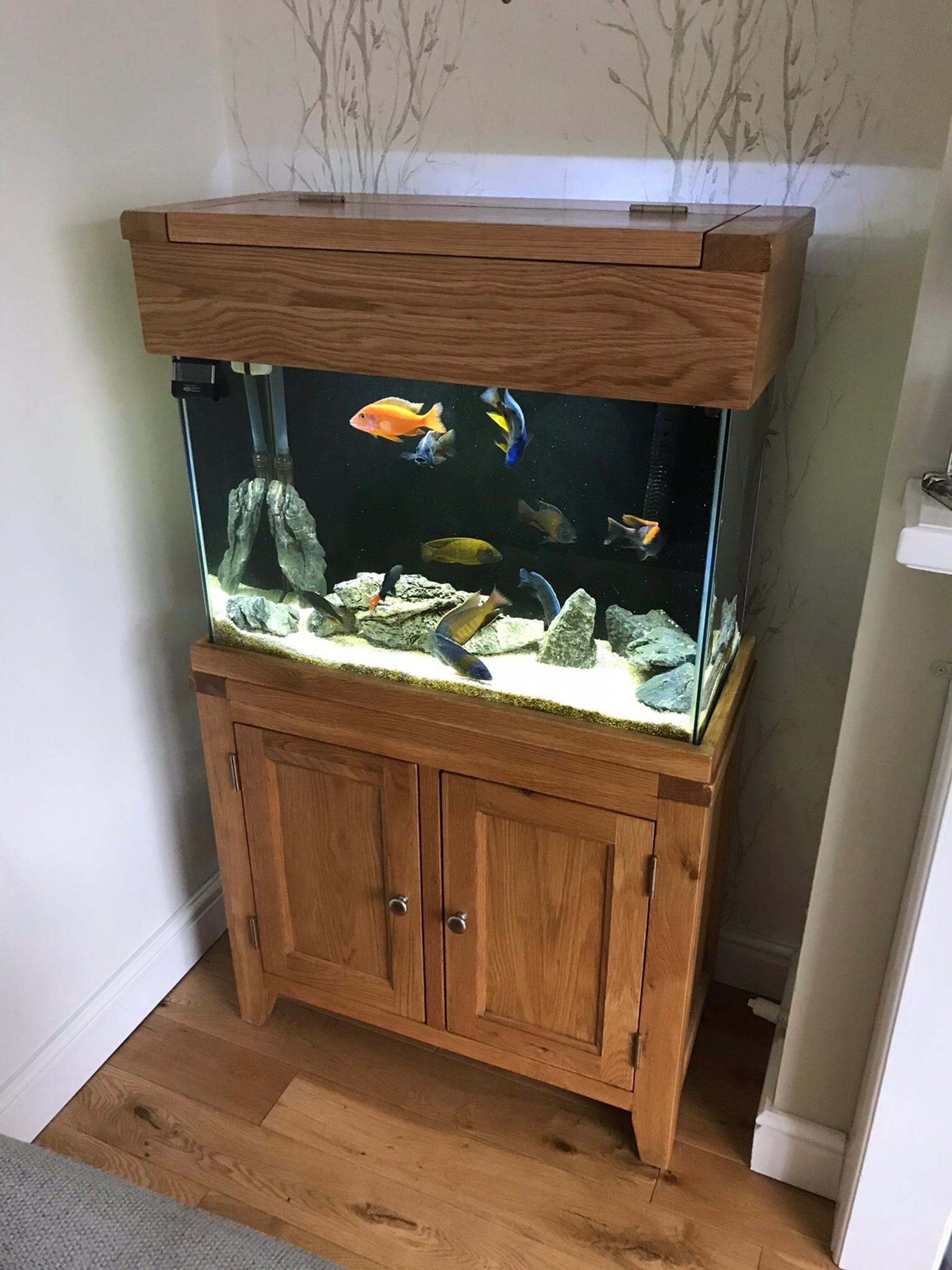 Aqua Oak Fish Tank In Dy8 Dudley Fur 350 00 Zum Verkauf Shpock De