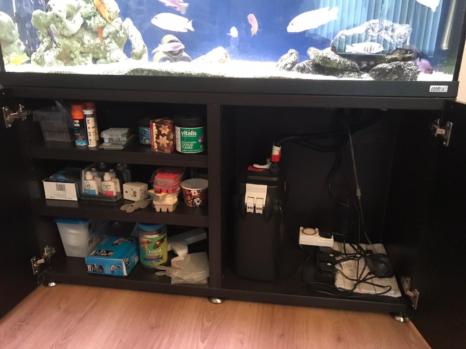 Fluval 240 Litres Fish Tank With Cabinet In Pe34 3dg King S Lynn