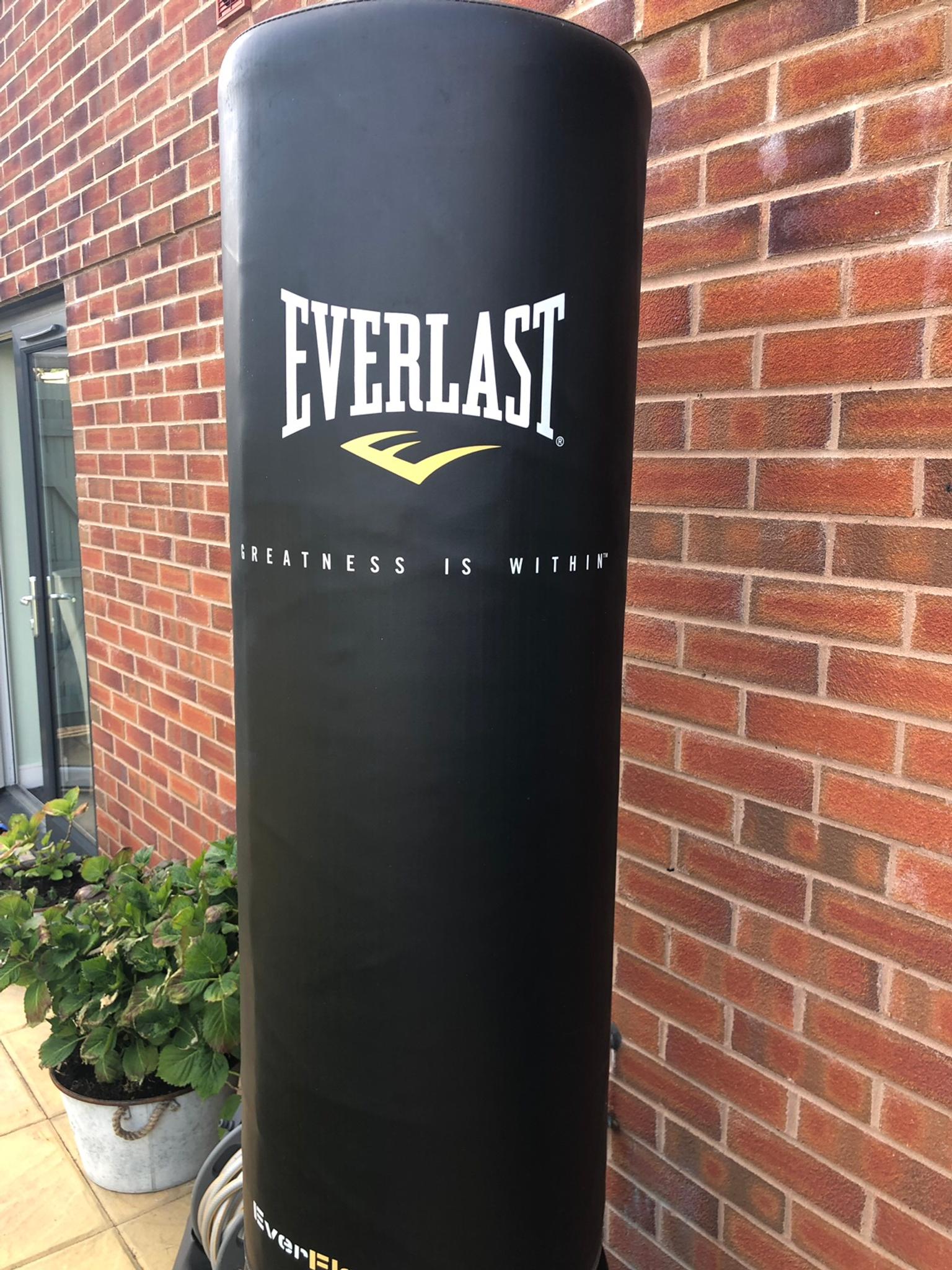 Everlast Pro Everflex free standing punch bag in B69 Sandwell for £80.00 for sale | Shpock