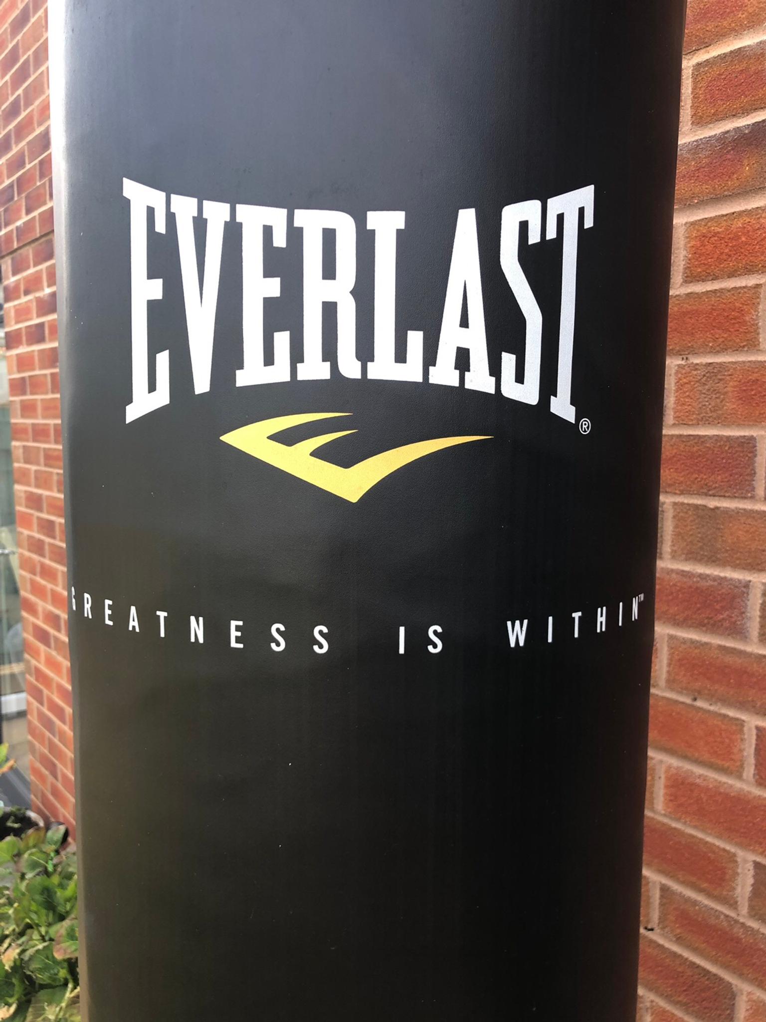 Everlast Pro Everflex free standing punch bag in B69 Sandwell for £80.00 for sale | Shpock