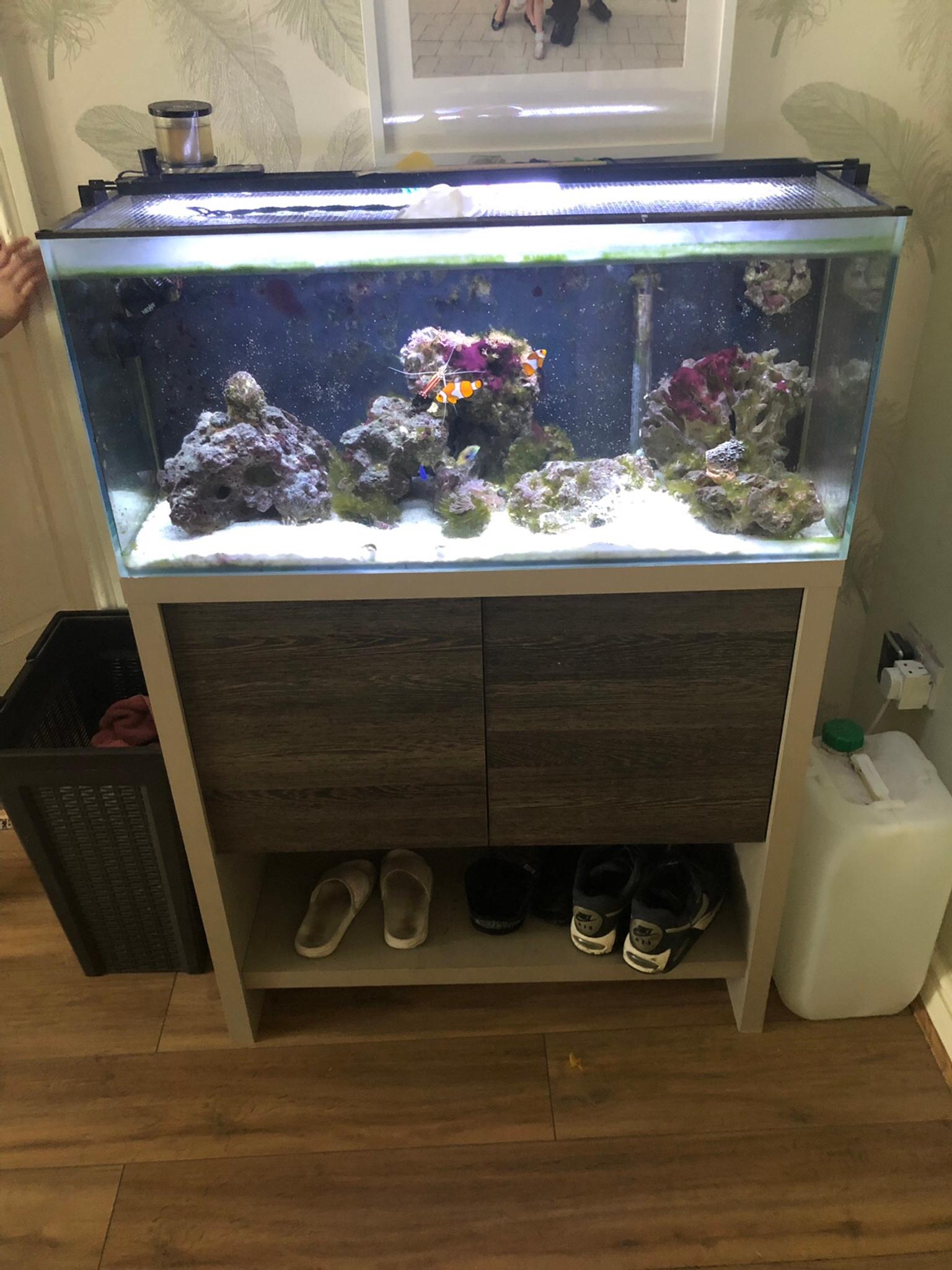 Fluval M90 Marine Tank Set Up 135litres In Ws10 Walsall Fur 225 00