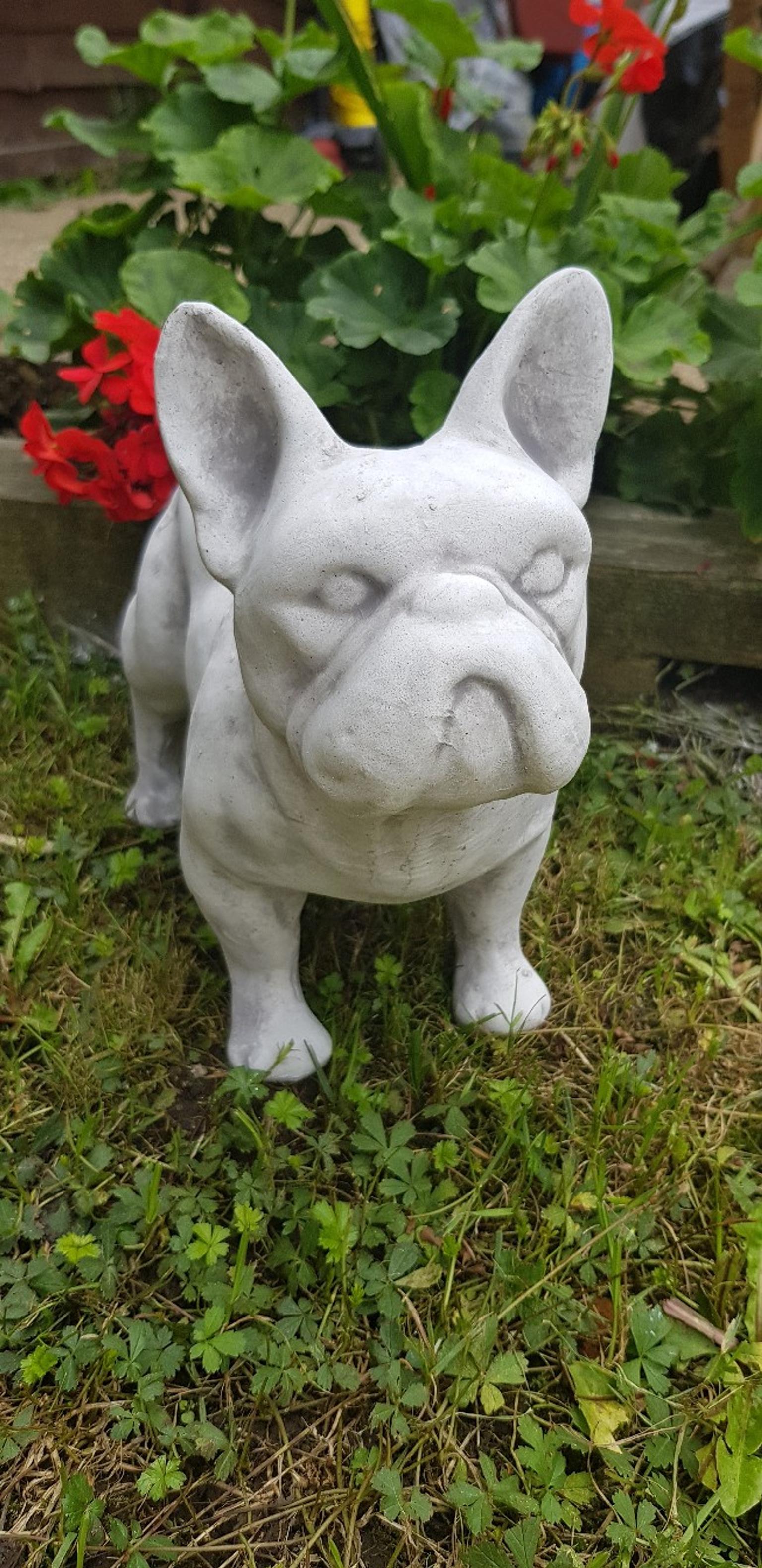 French Bulldog Garden Ornament Statue In En3 Enfield Fur 15 00