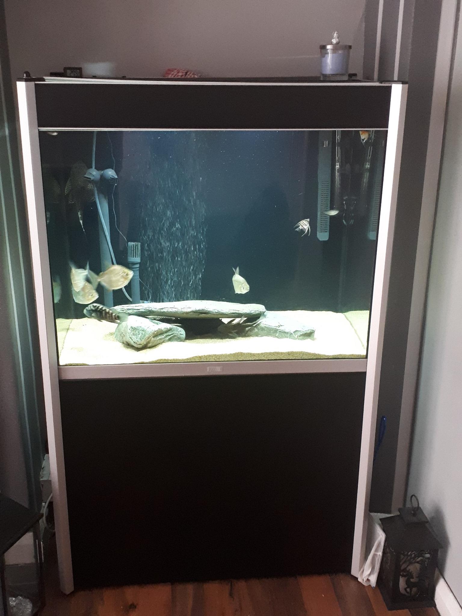Fluval Profile 850 Aquarium Includes Fish In B30 Birmingham Fur