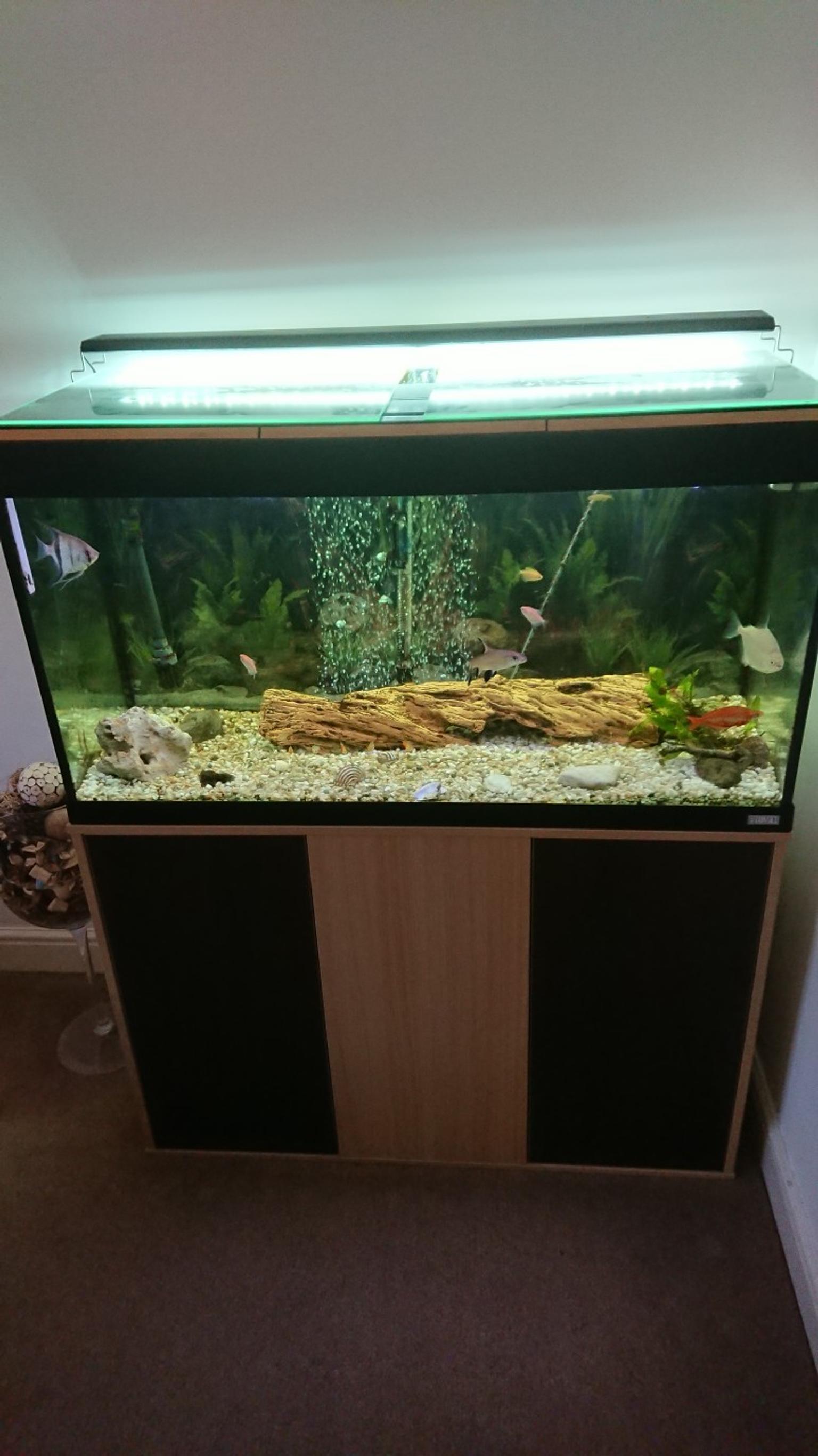 Fluval Roma 200l Tropical Fish Tank Cabinet In B63 Dudley Fur