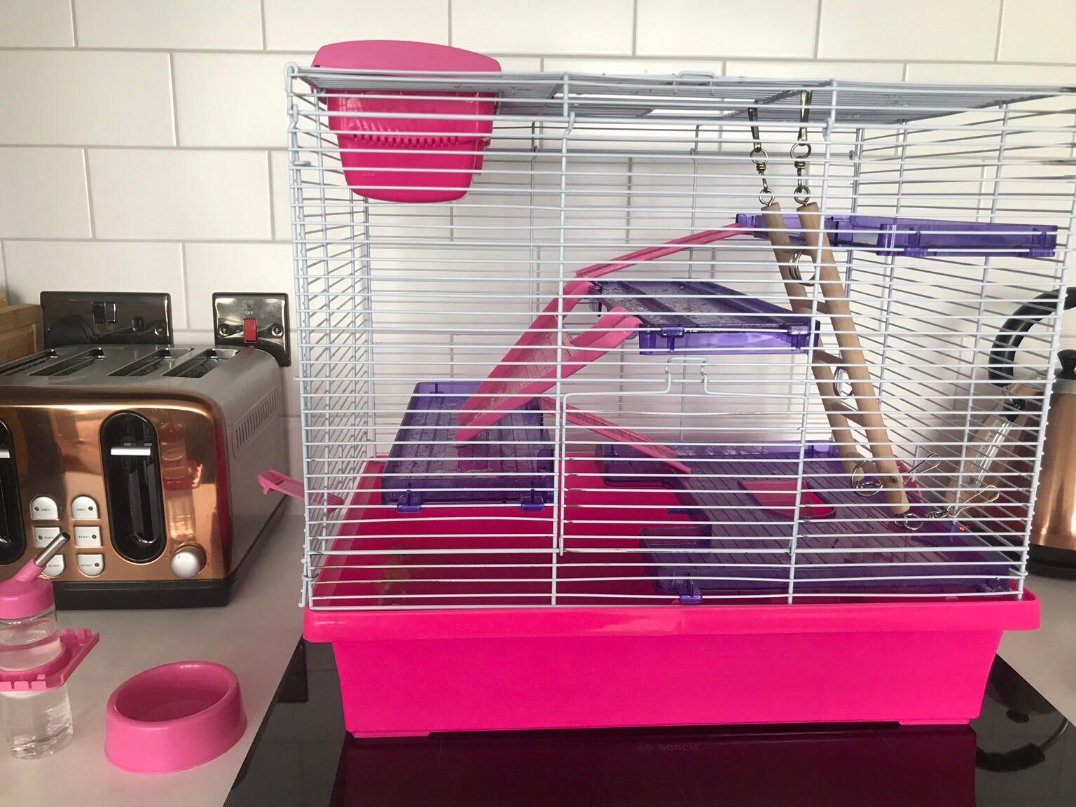 rosewood hamster cage