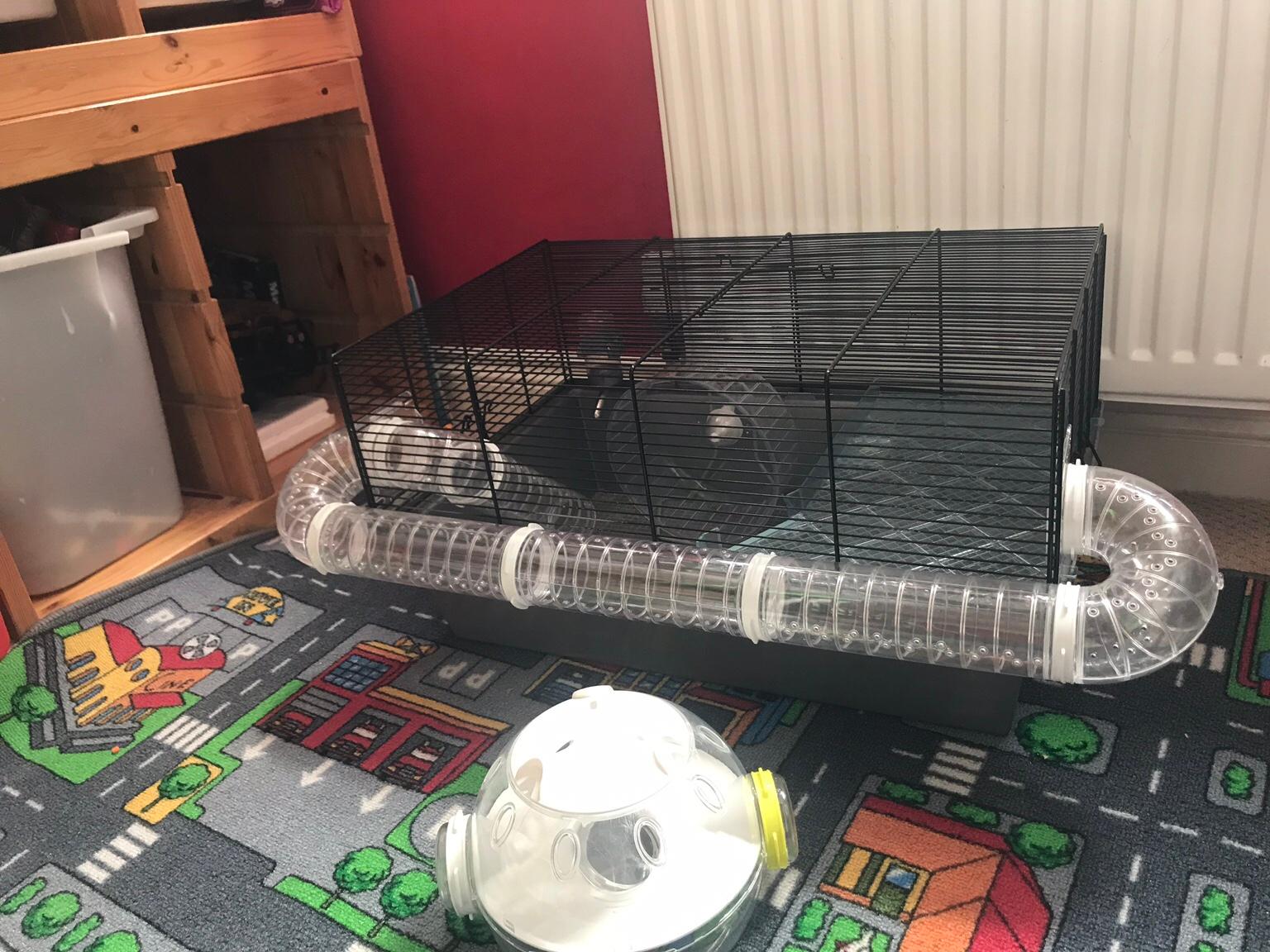 hamster ladder pets at home