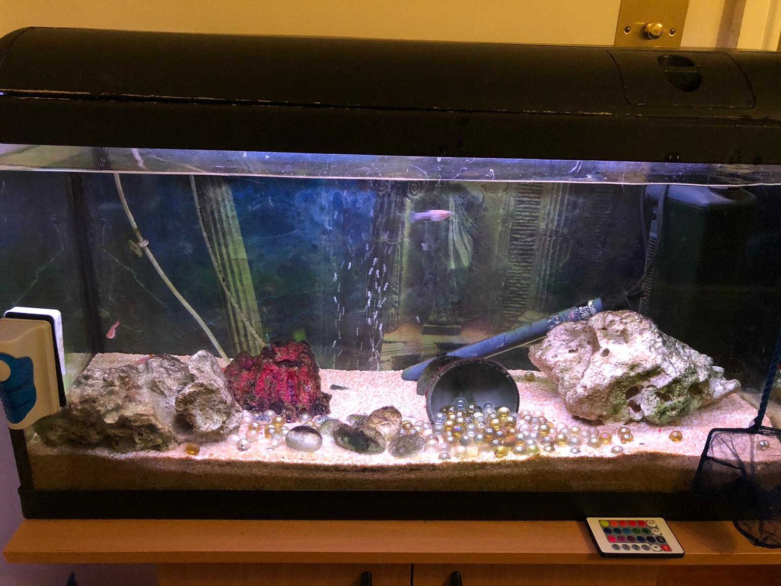 Fluval Aquarium Tropical Fish Tank Cabinet In Ashfield Fur 120