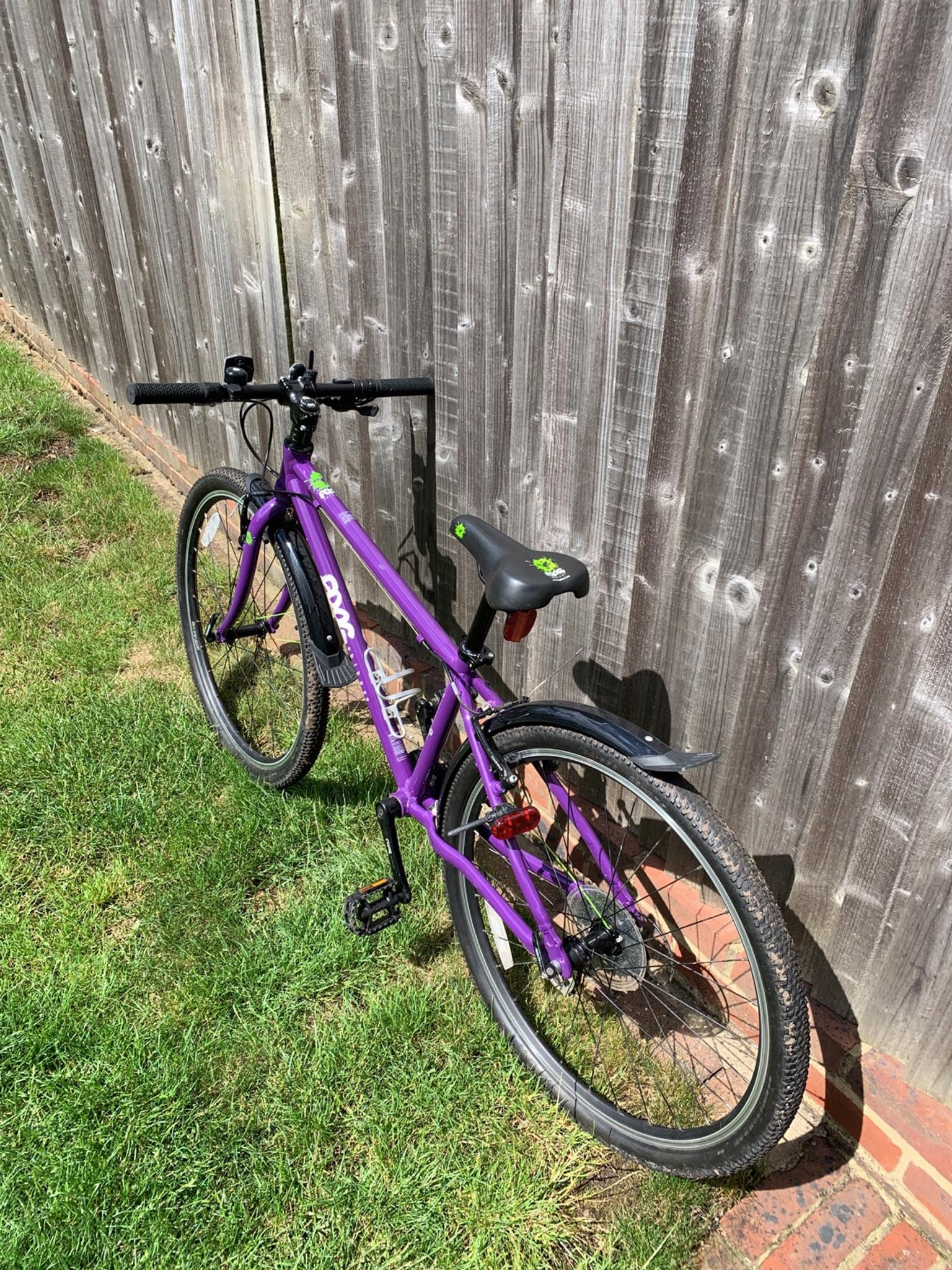purple frog bike