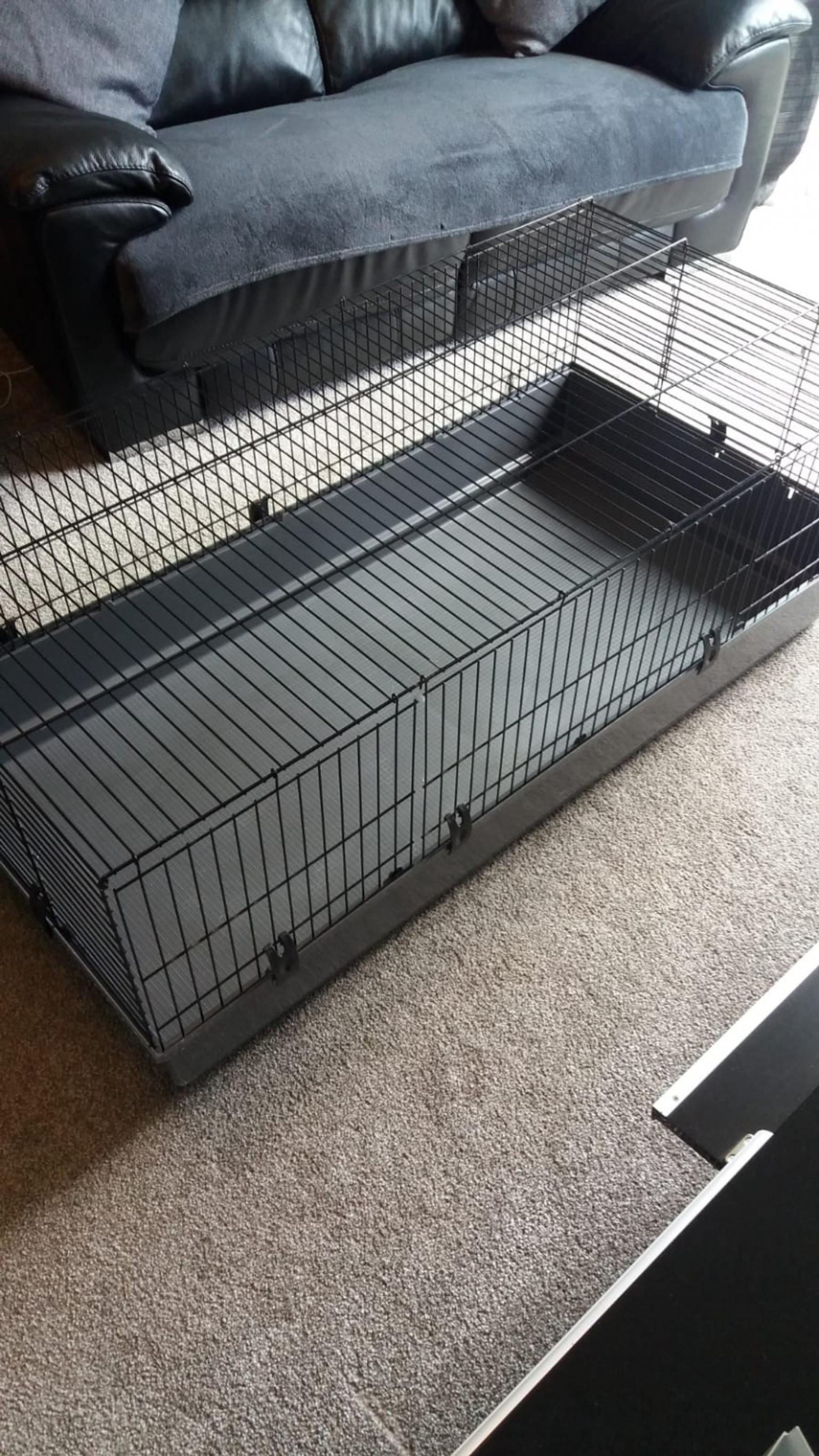 140 guinea pig cage