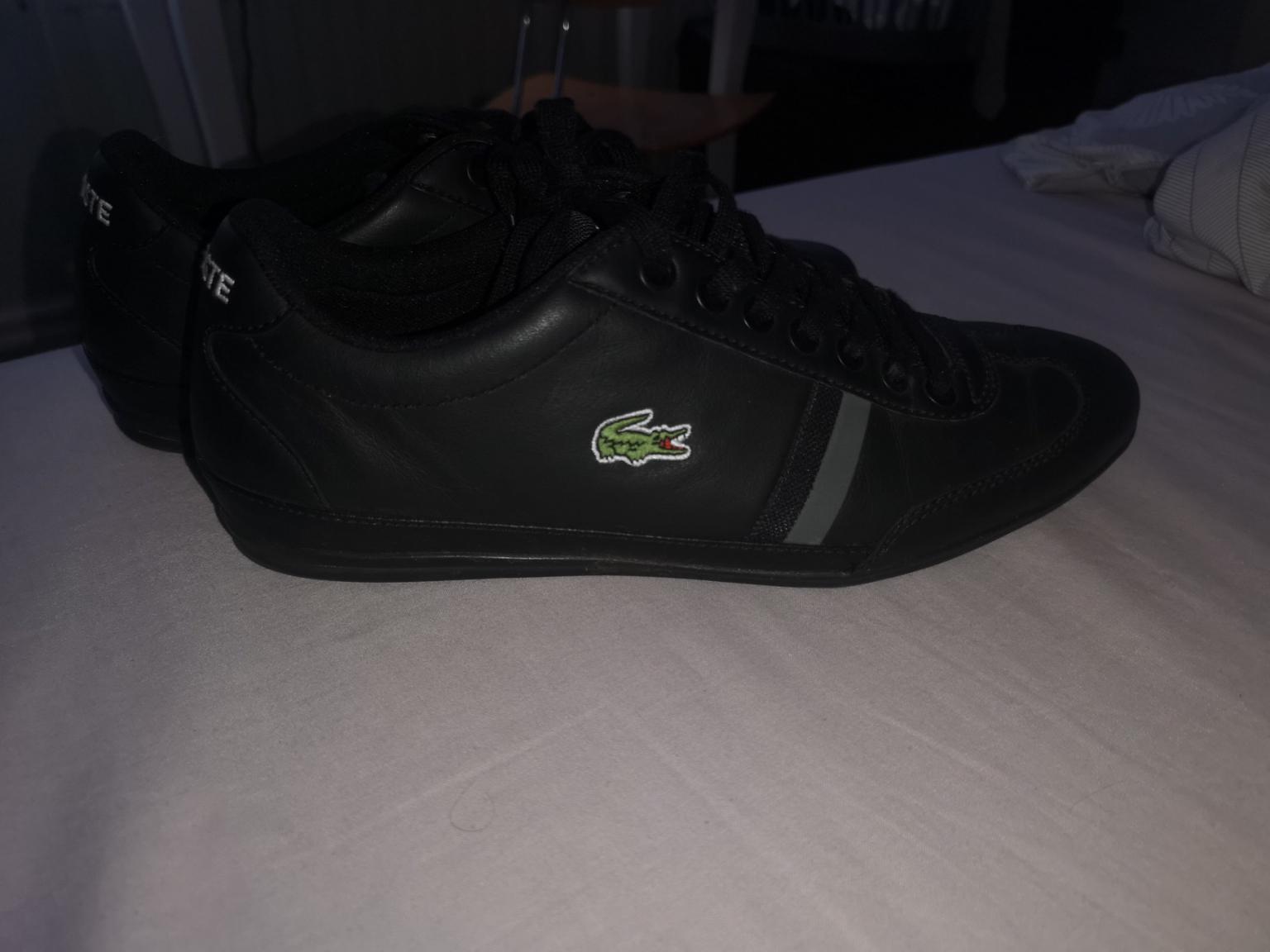 Lacoste smart shoes/trainers in L16 