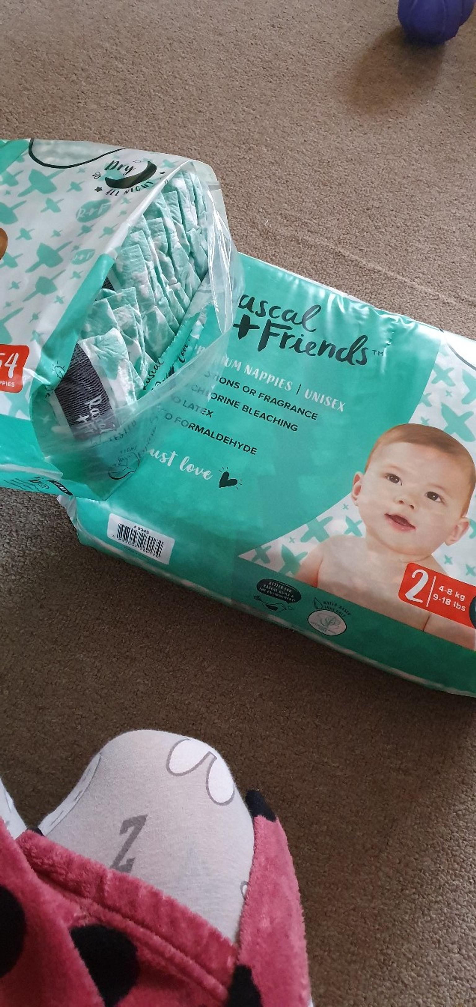 rascal and friends newborn nappies