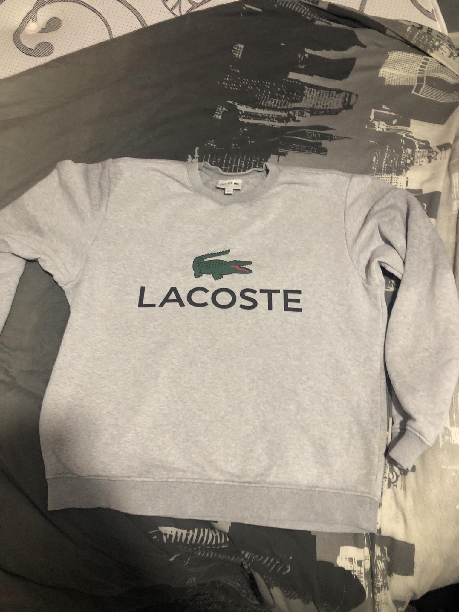 lacoste jumper sizes