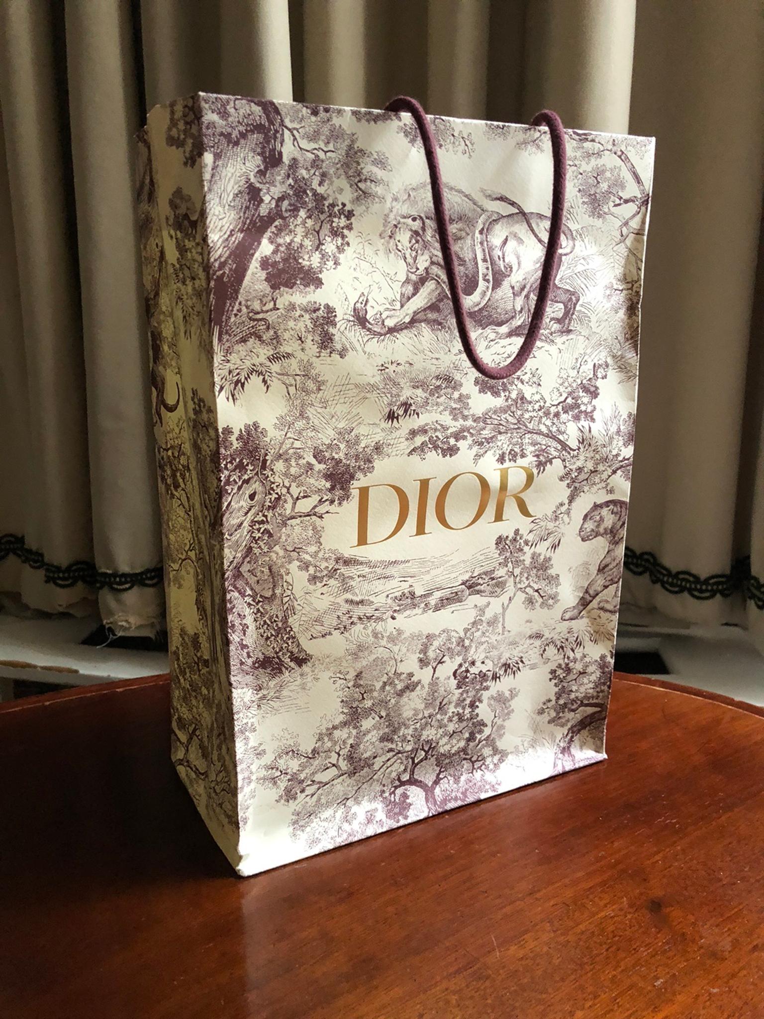 dior paper shopping bag